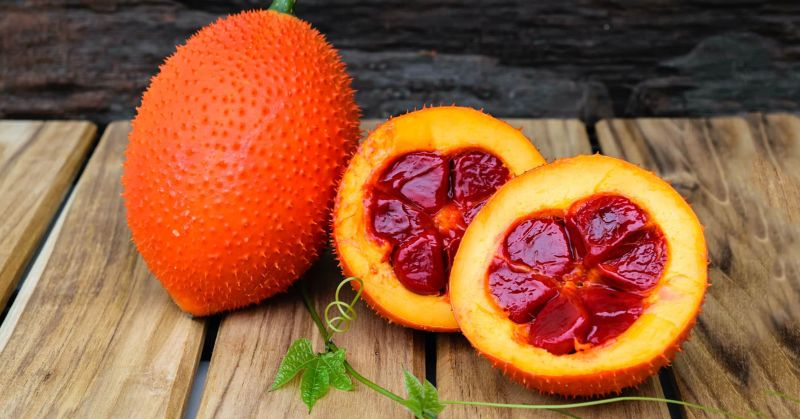 Quả gấc và tác dụng của quả gấc