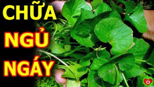 Ăn gì trị ngủ ngáy? Tiết lộ những thực phẩm tốt để giúp bạn khỏi tình trạng này