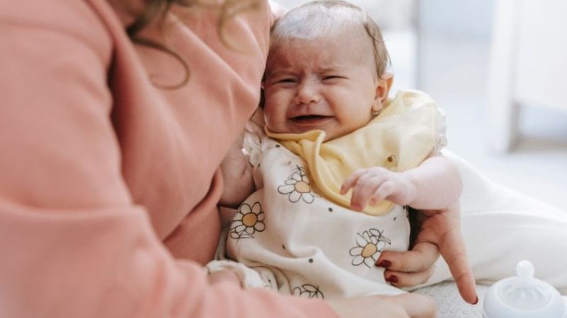 Tập bú bình khi bé đang đói